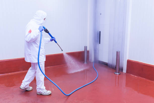 Boat and Dock Cleaning in Seguin, TX